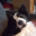 Kristine Hammar Profile Picture