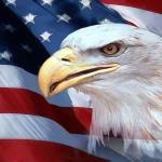 American Patriot Profile Picture