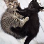 John Berry Profile Picture