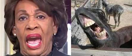 Mad Maxine Waters has made an Ass out of Herself Again – Government Propaganda