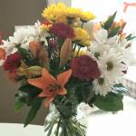 Stemnel Profile Picture