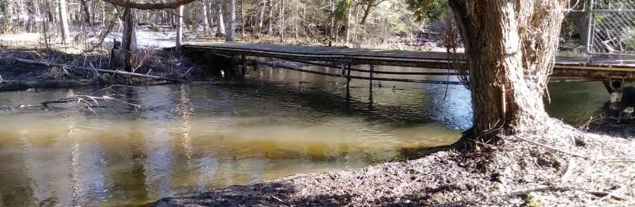 Gary Renaud Cover Image