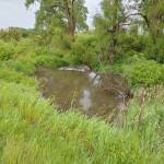 Scott Smith Profile Picture