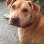 Beverly Yates Profile Picture