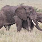 Jenniferboyd Profile Picture