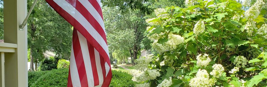 Hilda Sparks Cover Image