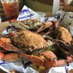 Dougantonelli Profile Picture