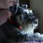 Jessie ---- Profile Picture