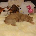 ElizaB Profile Picture