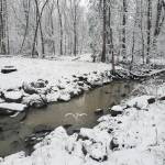 Lennybrooks Profile Picture