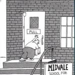 Steve Osgood Profile Picture