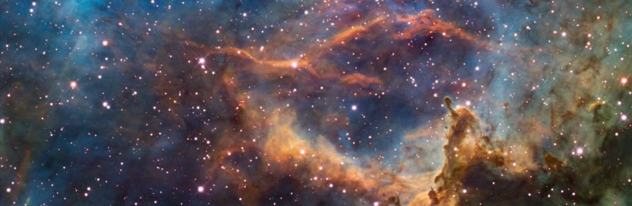 Jim Garrison Cover Image