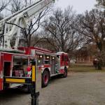 Clayton Nash Profile Picture