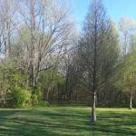 Dave Heng Profile Picture