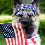 CL Napolitano Profile Picture