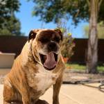 Susan Smith Profile Picture