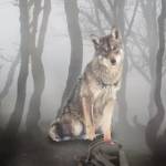 Gabriel_ark80 Profile Picture