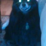 aokayrr Profile Picture