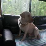 Terry Truett Profile Picture