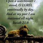 The_Watchman Profile Picture