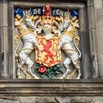 David Miller Profile Picture