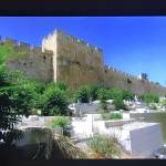 CW Parry Profile Picture