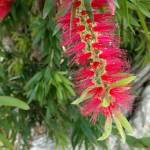 Jana Craven Profile Picture