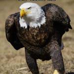 Suzy Mccawley Profile Picture