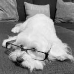 Jane Tree Profile Picture