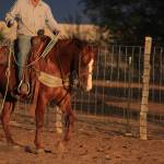 Misty Lewis Profile Picture