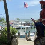 Shannon Black Profile Picture