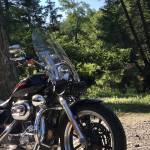 Lisa Tapley Profile Picture