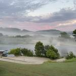 Tim Tyler Profile Picture