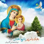 Abd Elmasih Nasr Profile Picture