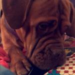 Julie Schauer Profile Picture