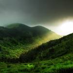 Nancy Scandlen profile picture