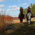 American Acres profile picture