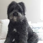 Kathleen Castilloux Profile Picture