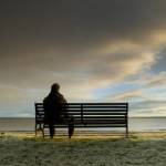 waleed youssef Profile Picture