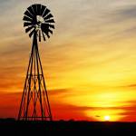 Prairie Chick - MaryKay 'Sunny' Profile Picture