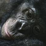 Tim Roberts Profile Picture