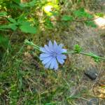 Summer Watkins Profile Picture