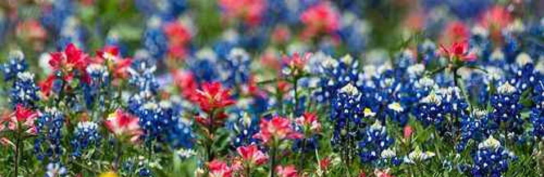 Christine Taylor Cover Image