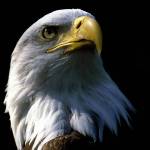 Edburney Profile Picture