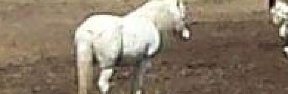 Renee Walker Cover Image