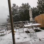 Nancy Roe Profile Picture