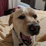 Gina Marie Profile Picture