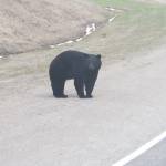 Paul taylor Profile Picture