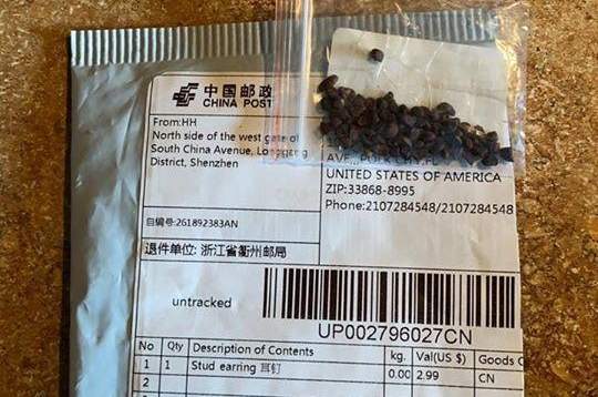 USDA finds noxious weeds, bug larva in unsolicited seeds from China - UPI.com