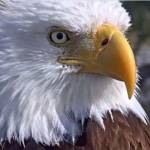 Ron Smith Profile Picture